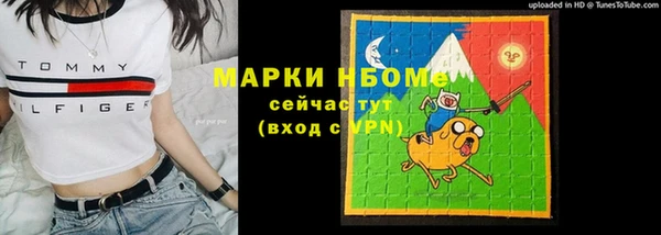 ешки Гусь-Хрустальный