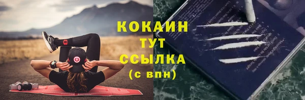 соль ск Гусиноозёрск