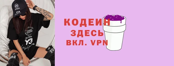 молекула духа Гусев