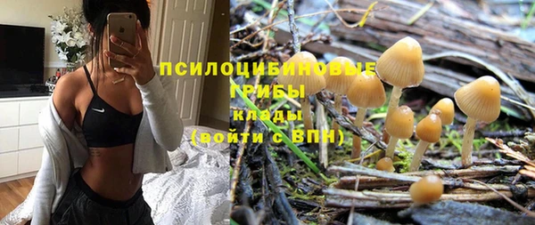 гашиш Дмитров