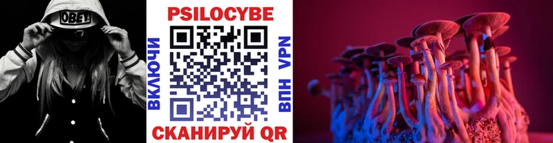 сколько стоит  Дмитров  Галлюциногенные грибы мухоморы 