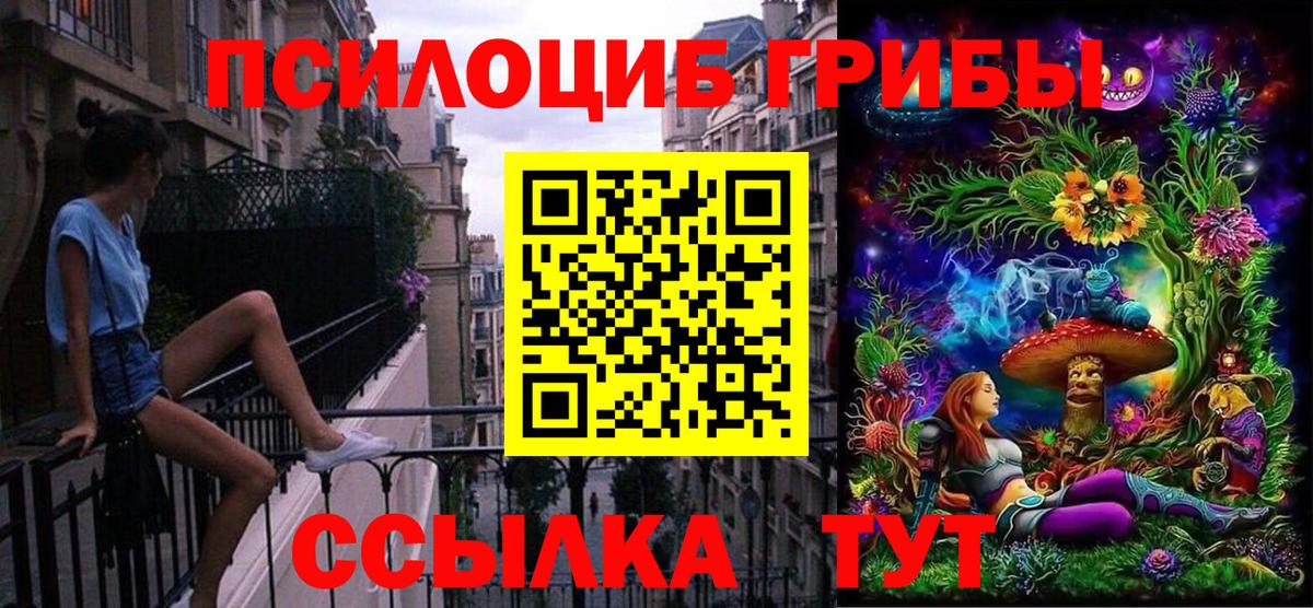Псилоцибиновые грибы мицелий Дмитров