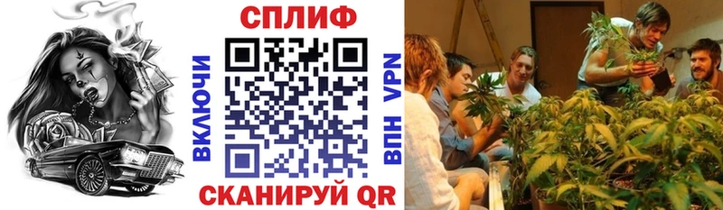 Канабис тримм  Дмитров 